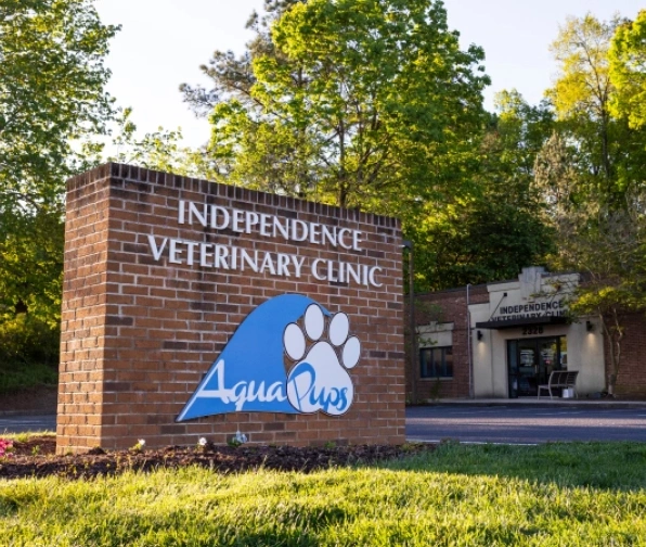 AquaPups Charlotte dog park