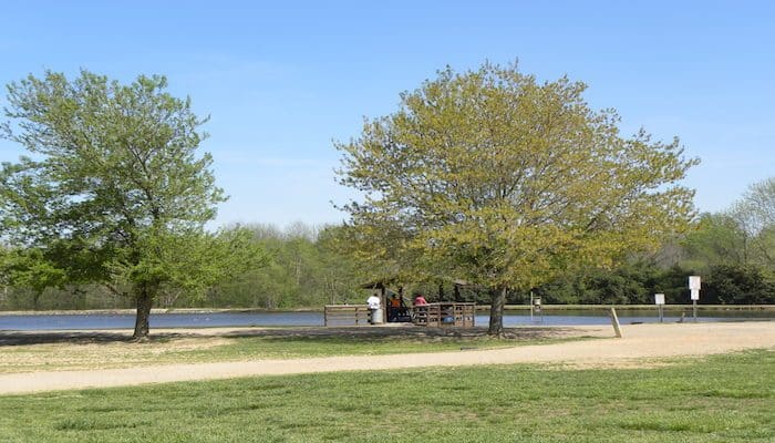 McAlpine Creek Park (Fetching Meadow) dog park