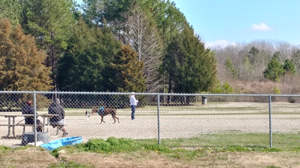 Shuffletown Park Dog Park dog park